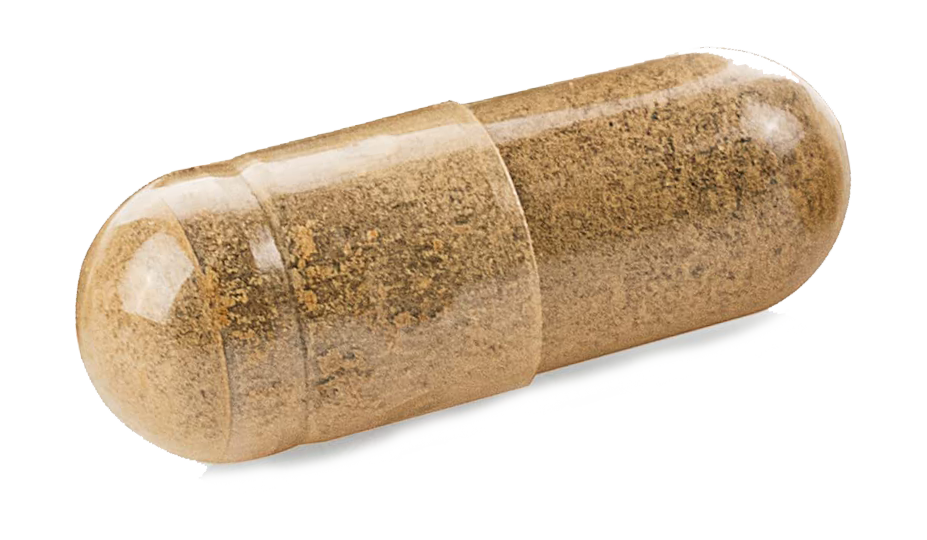 pastila vigoforte